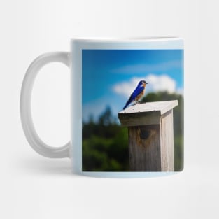 Bluebird On Nest Box Mug